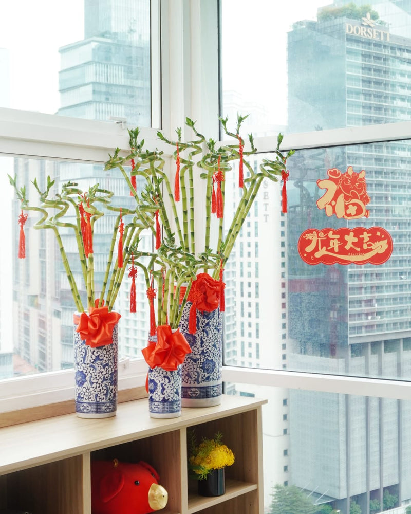 lucky bamboo decoration Lucky Bamboo – Tailored Floral