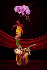 玉兔迎春 (粉色兰花) Jade Rabbit Premium Fresh Orchid (Sweetest Pink)